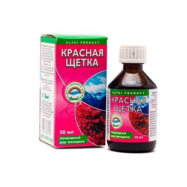 Как сделать настой из красная щетка Как сделать настой из красная щетка
